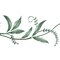 Willow Leaf Vine Wall Stencil | 3025 by Designer Stencils | Floral Stencils |